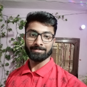 Nipun Singal-Freelancer in Ambala,India