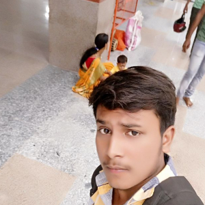 Ranajit Shaw-Freelancer in ,India