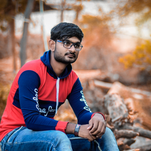 Rushikesh Survse-Freelancer in ,India