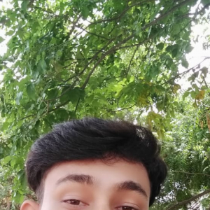 Kabirul Islam-Freelancer in ,India