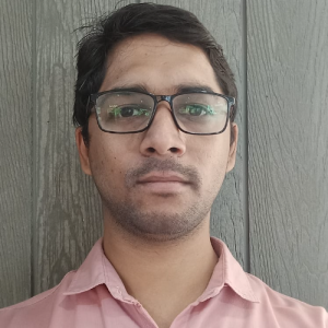 Nitesh Bhati-Freelancer in Hyderabad,India