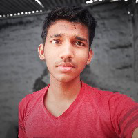 Tahseen Raza-Freelancer in Jodhpur,India