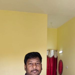 Ravi V-Freelancer in ,India