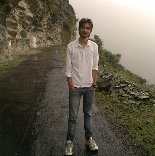 Nitin Dhiman-Freelancer in Ambala,India