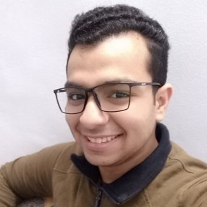 Mohamed Ibrahim-Freelancer in Tanta,Egypt