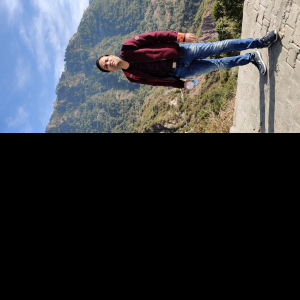 Nitin Agarwal-Freelancer in Delhi,India