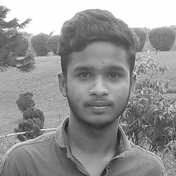 Rasel Rana-Freelancer in Thakurgaon,Bangladesh