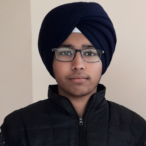 Komaldeep Singh-Freelancer in ,India