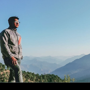 Sudhir Arya-Freelancer in Gurugram,India