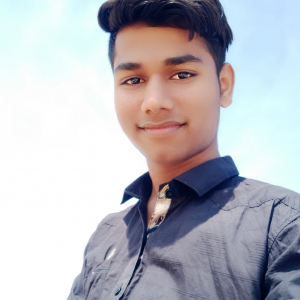 Lalit Prajapat-Freelancer in ,India