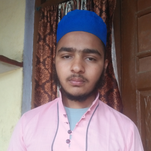 Zubair Raza-Freelancer in Moradabad,India