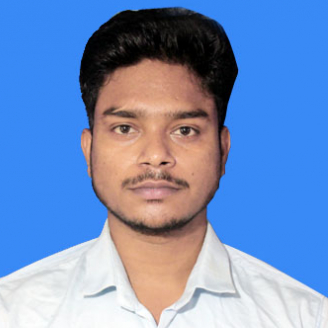Parwez Alam-Freelancer in ,India
