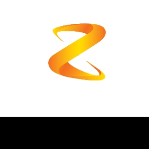 Zynga Consultants-Freelancer in Chennai,India
