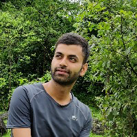 Ansul Dubey-Freelancer in ,India