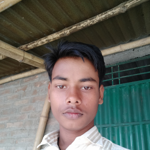 Prince Kumar chaurasiya-Freelancer in Gopalganj,India