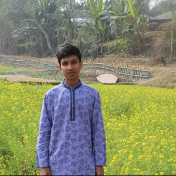 Rayhanul Zannat Mahi-Freelancer in Sirajganj,Bangladesh