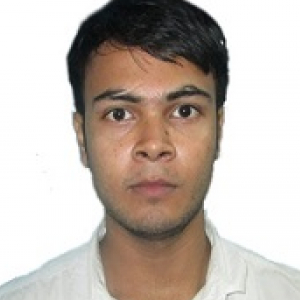 Ashish Sarmah-Freelancer in ,India