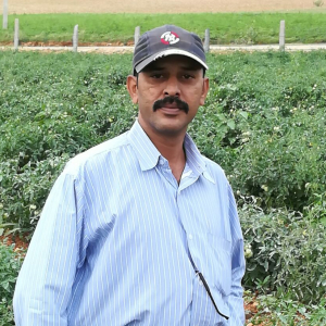 Venkatesulu Raavi-Freelancer in Bellary,India