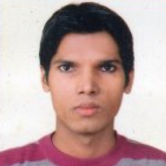 Niraj Kumar-Freelancer in Delhi,India