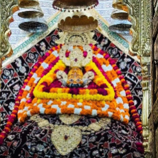 Gagandeep Kaur-Freelancer in Sangatpura,India