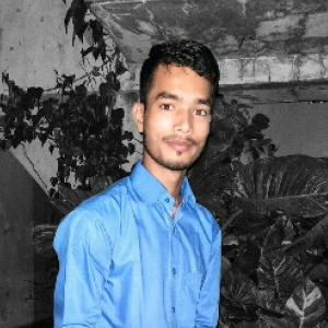 Murari Kumar Jha-Freelancer in Darbhanga,India