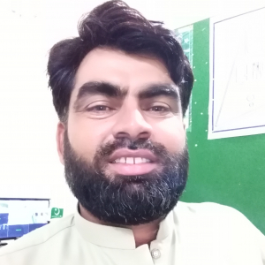 Sher Dil Khan Niazi-Freelancer in ,Pakistan