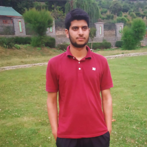 Naveed Mir-Freelancer in Youngoora Ganderbal srinagar Kashmir ,India