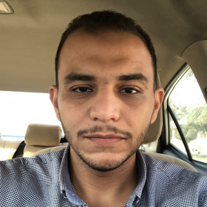 Ibrahim Elawady-Freelancer in 10th of Ramadan,Egypt