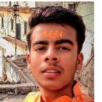 Raj Bundela-Freelancer in Ganj Basoda,India