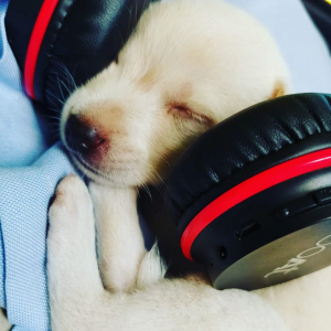 SOWMMIYA KAS +91-Freelancer in ,India