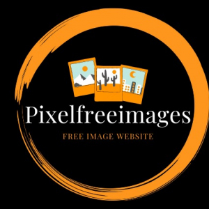 Advik Paul-Freelancer in ,India