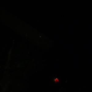 Aysha Safa-Freelancer in Ernakulam,India