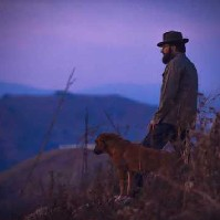 Jinu-Freelancer in ,India