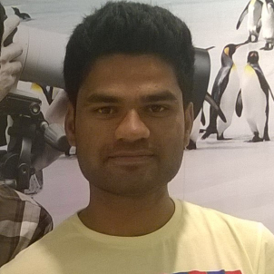 Praveen Reddy-Freelancer in ,India