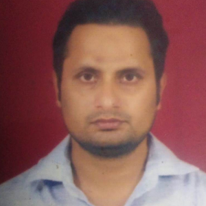 Rahbar Anees-Freelancer in Meerut,India