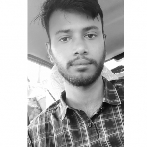 Biswajit Bharui-Freelancer in Kolkata ,India