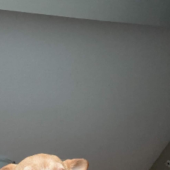 Akash sandeepa-Freelancer in ,Sri Lanka