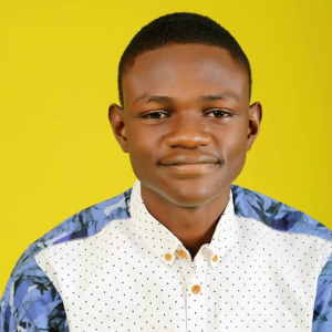 Emmanuel Olorunsola-Freelancer in Lagos,Nigeria