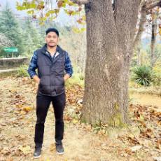 Utkarsh Thakur-Freelancer in Chandigarh,India