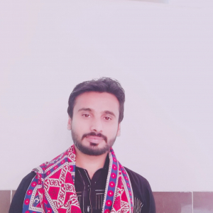 Muhammad Naveed Qasim-Freelancer in Faisalabad,Pakistan