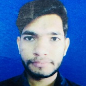 Ankit Sharma-Freelancer in ,India