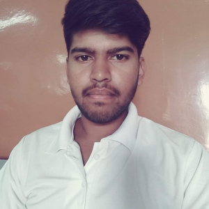 Subhankar Sikdar-Freelancer in Gangarampur,India