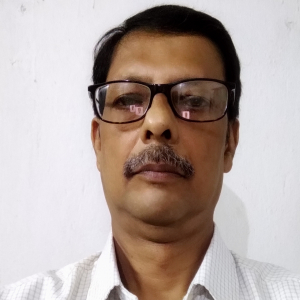 Pranab Kumar Sengupta-Freelancer in ,India
