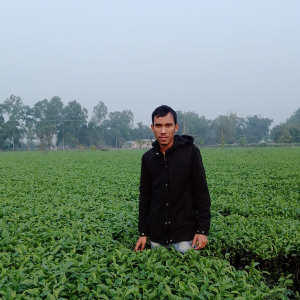 Nayan Chandra Roy-Freelancer in Dinajpur,Bangladesh