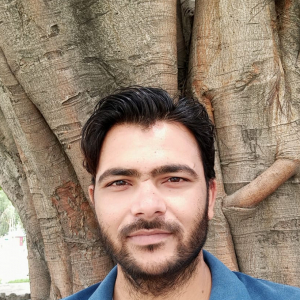 Gulzar Saifi-Freelancer in Ghaziabad,India