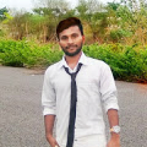 Raju Padala-Freelancer in ,India