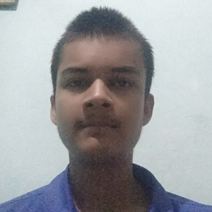 Ravi Kumar-Freelancer in ,India