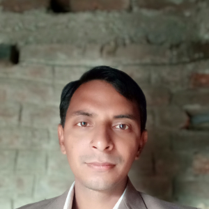 Ratnesh Kumar-Freelancer in EAST CHAMPARAN,India