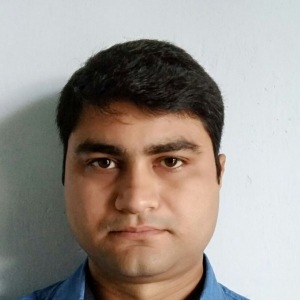 Arnab Banerjee-Freelancer in ,India