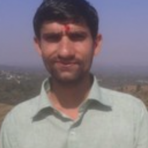 Naveen Kumar-Freelancer in Ghumarwin, India,India